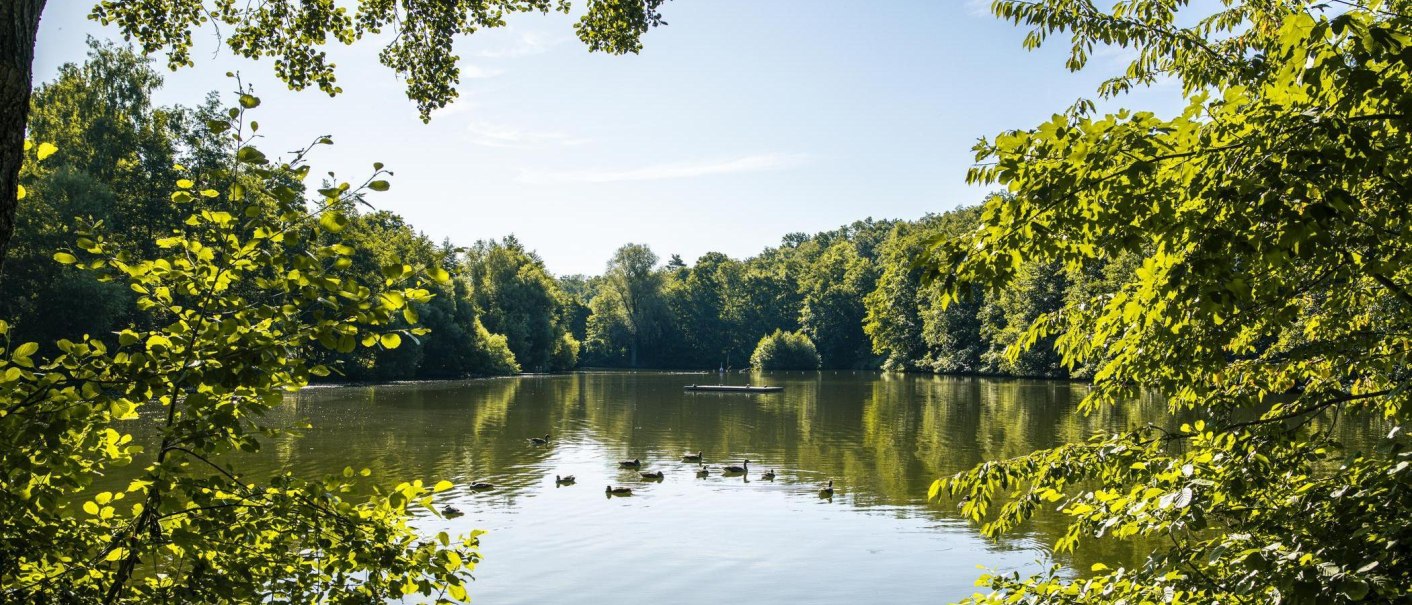 Ein idyllischer See in Kirchheim, umgeben von üppigem Grün. Enten schwimmen auf dem Wasser, während die Sonne durch die Blätter scheint., © SMG, Sarah Schmid Ein idyllischer See in Kirchheim, umgeben von üppigem Grün. Enten schwimmen auf dem Wasser, während die Sonne durch die Blätter scheint., © SMG, Sarah Schmid
