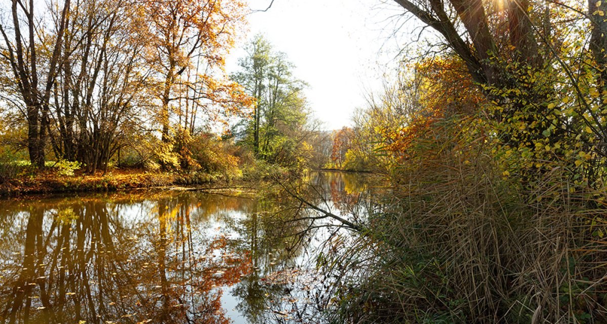 Herbstliche Uferlandschaft des Kochers in Gaildorf mit buntem Laub, spiegelndem Wasser und Sonnenstrahlen durch die Bäume. Herbstliche Uferlandschaft des Kochers in Gaildorf mit buntem Laub, spiegelndem Wasser und Sonnenstrahlen durch die Bäume.