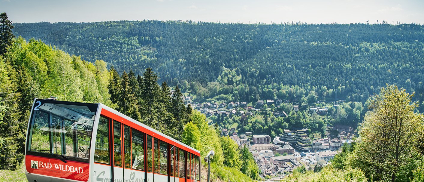 Die Sommerbergbahn in Bad Wildbad fährt durch eine grüne Waldlandschaft. Im Hintergrund ist die Stadt und der dichte Schwarzwald zu sehen., © Touristik Bad Wildbad GmbH