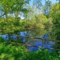 Blaubeerweg - F2 - Wanderweg:Örtlicher Wanderweg mit Start in Murrhardt, © All rights reserved to Stefan Bossow Pixxel-Art Photography