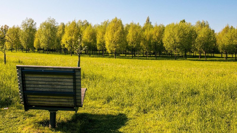 Eine Bank auf einer gr&uuml;nen Wiese mit Blick auf einen dichten Wald in der Talaue Waiblingen. Sonniges Wetter und blauer Himmel., &copy; Stuttgart-Marketing GmbH, Sarah Schmid