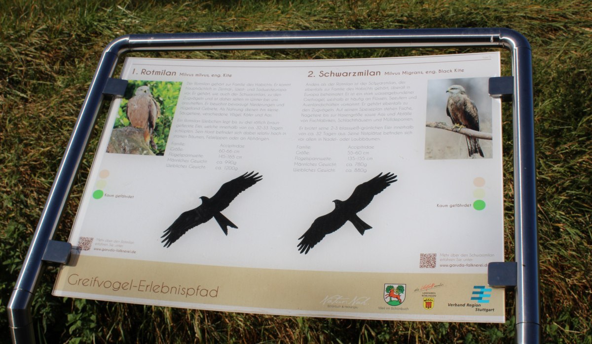 Infotafel über Rotmilan und Schwarzmilan auf einem Greifvogel-Erlebnispfad. Enthält Bilder und Informationen zu den Vögeln. Hintergrund aus Gras., © Natur.Nah. Schönbuch & Heckengäu Infotafel über Rotmilan und Schwarzmilan auf einem Greifvogel-Erlebnispfad. Enthält Bilder und Informationen zu den Vögeln. Hintergrund aus Gras., © Natur.Nah. Schönbuch & Heckengäu