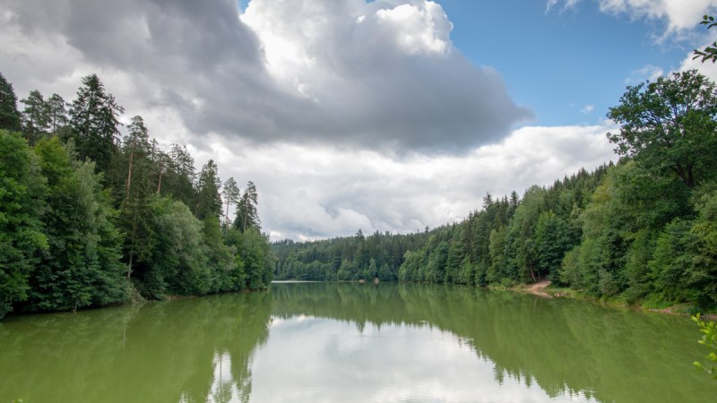 Der Herrenbachstausee in Schorndorf, umgeben von dichten W&auml;ldern und reflektiert im ruhigen Wasser. Wolken ziehen &uuml;ber den blauen Himmel.