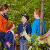 Kinder und Erwachsene stehen im Wald um ein Rehmodell. Sie sind in Gespräch vertieft und von grünen Blättern umgeben., © Natur.Nah. Schönbuch & Heckengäu