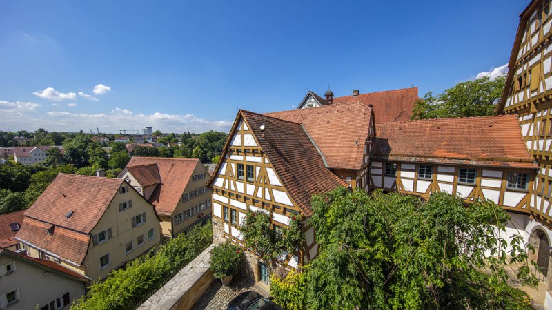 Fachwerkh&auml;user mit roten D&auml;chern und B&auml;umen im Vordergrund, blauer Himmel im Hintergrund., &copy; Achim Mende