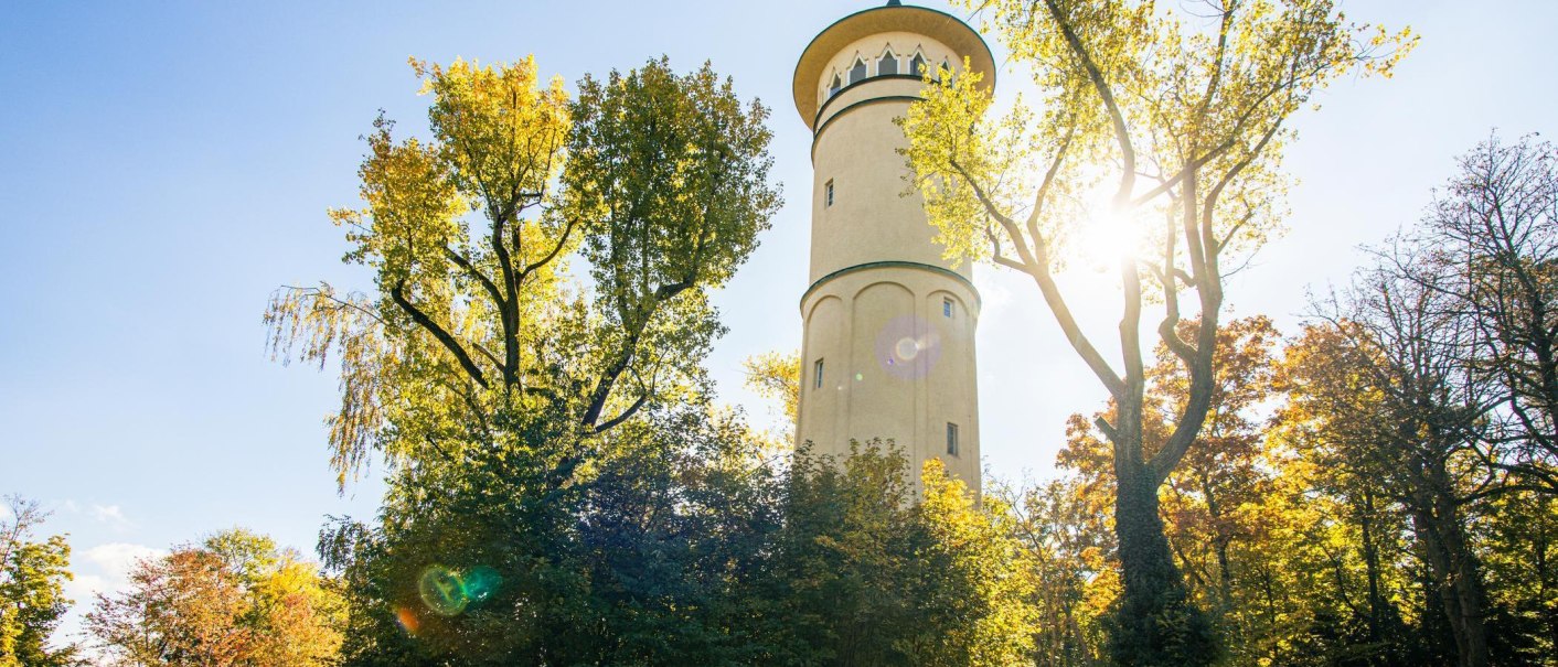 Der Engelbergturm in Leonberg ragt zwischen herbstlich gefärbten Bäumen empor, während die Sonne durch die Blätter scheint., © Stuttgart-Marketing GmbH, Sarah Schmid Der Engelbergturm in Leonberg ragt zwischen herbstlich gefärbten Bäumen empor, während die Sonne durch die Blätter scheint., © Stuttgart-Marketing GmbH, Sarah Schmid