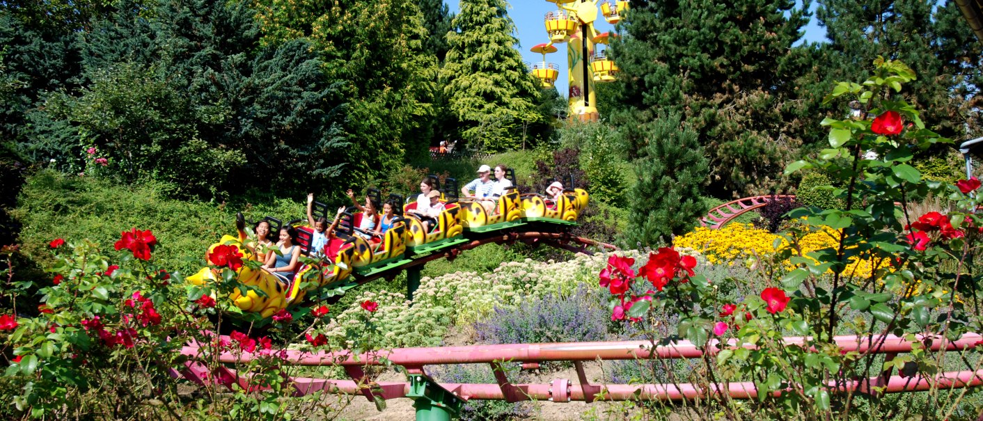 Eine bunte Achterbahn in einem grünen Park mit blühenden Blumen und Bäumen im Hintergrund. Menschen fahren lachend in der Achterbahn., © Schwaben Park