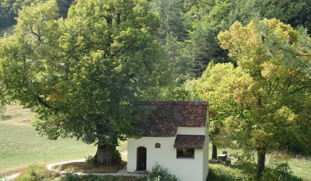 Die Reiterleskapelle steht idyllisch inmitten von Bäumen und grüner Natur, mit einem kleinen Weg, der zur Kapelle führt., © Foto: Frieder Kopper Die Reiterleskapelle steht idyllisch inmitten von Bäumen und grüner Natur, mit einem kleinen Weg, der zur Kapelle führt., © Foto: Frieder Kopper