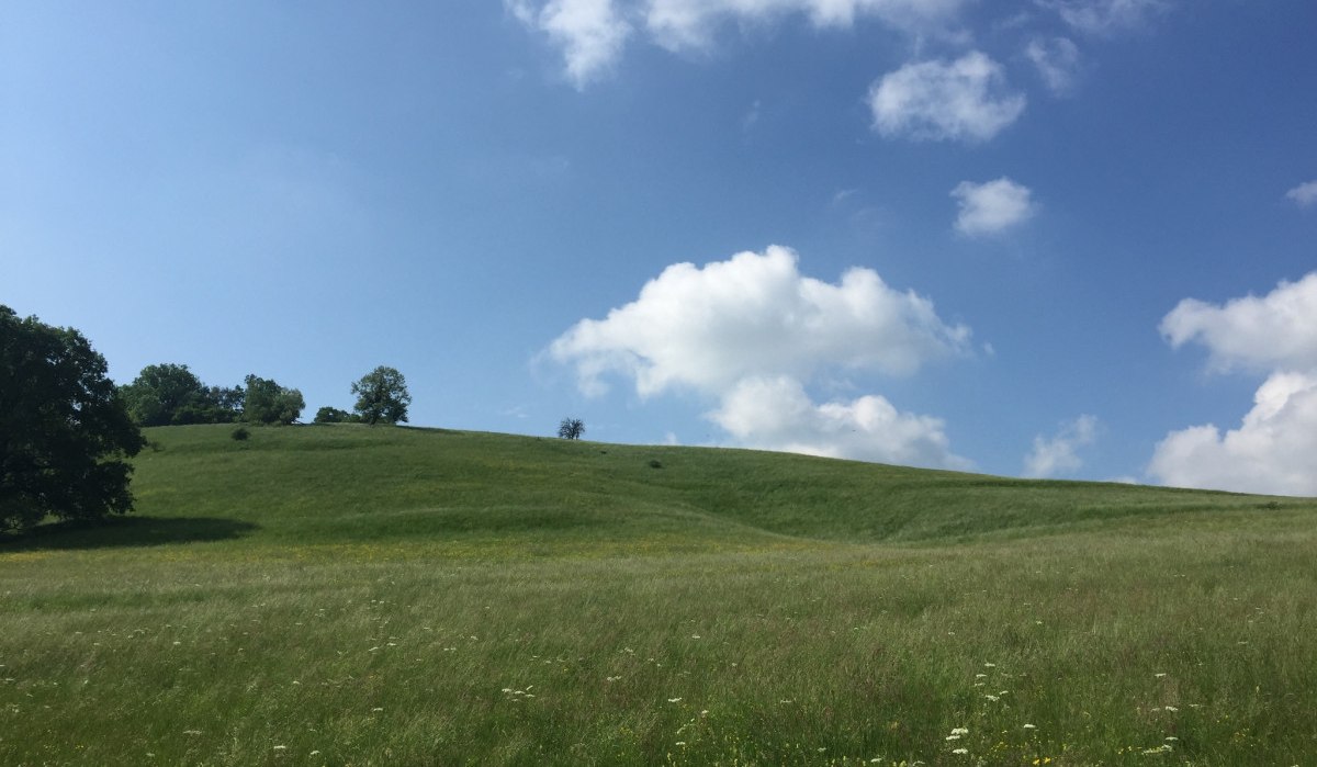 Weite grüne Wiese mit vereinzelten Bäumen unter einem blauen Himmel mit weißen Wolken bei Tübingen., © www.pro-cycl.de Weite grüne Wiese mit vereinzelten Bäumen unter einem blauen Himmel mit weißen Wolken bei Tübingen., © www.pro-cycl.de