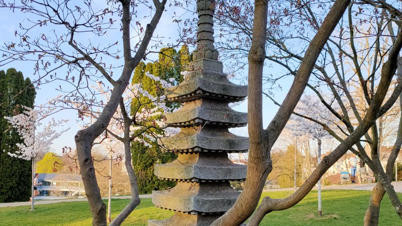 Eine Steinpagode steht in einem Garten, umgeben von bl&uuml;henden B&auml;umen und gr&uuml;nem Rasen. Der Himmel ist klar und blau., &copy; SMG