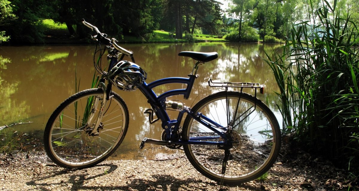 Ein blaues Fahrrad steht am Ufer eines ruhigen Sees, umgeben von grüner Vegetation und Bäumen. Die Sonne scheint durch die Blätter., © Natur.Nah. Schönbuch & Heckengäu Ein blaues Fahrrad steht am Ufer eines ruhigen Sees, umgeben von grüner Vegetation und Bäumen. Die Sonne scheint durch die Blätter., © Natur.Nah. Schönbuch & Heckengäu