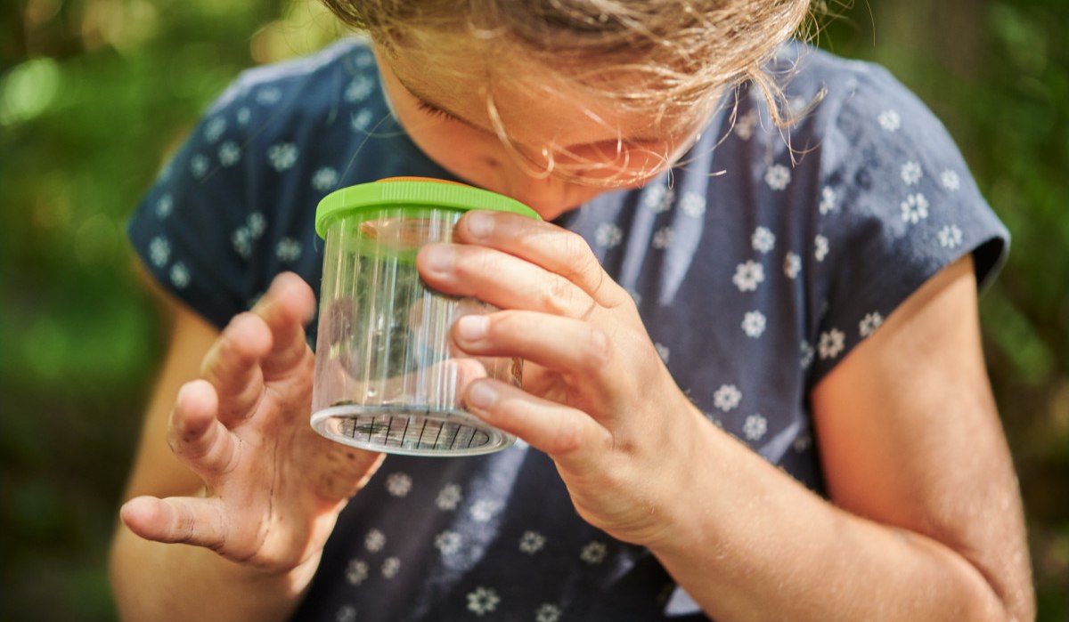 Ein Kind untersucht ein Insekt in einem Glasbeh&auml;lter mit gr&uuml;nem Deckel. Es tr&auml;gt ein blaues T-Shirt mit Blumenmuster und befindet sich im Freien., &copy; Natur.Nah. Sch&ouml;nbuch & Heckeng&auml;u