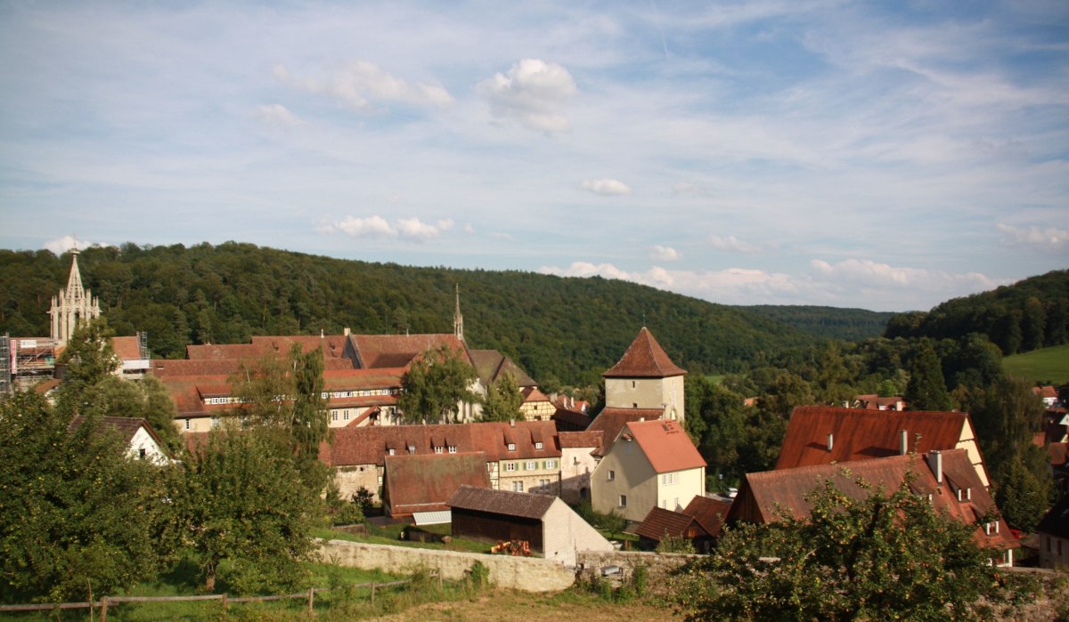 Malerische Stadt mit roten Dächern und Kirchturm, umgeben von grünen Hügeln und Bäumen. Der Himmel ist blau mit einigen Wolken., © Natur.Nah. Schönbuch & Heckengäu