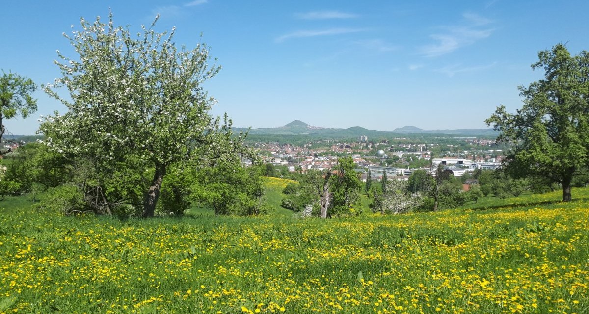 Stadtansicht, &copy; Landkreis G&ouml;ppingen