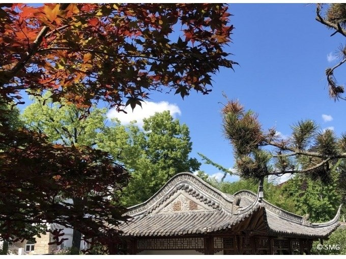 Traditionelles asiatisches Gebäude mit geschwungenem Dach, umgeben von buntem Laub und blauem Himmel., © Stuttgart Marketing GmbH Traditionelles asiatisches Gebäude mit geschwungenem Dach, umgeben von buntem Laub und blauem Himmel., © Stuttgart Marketing GmbH