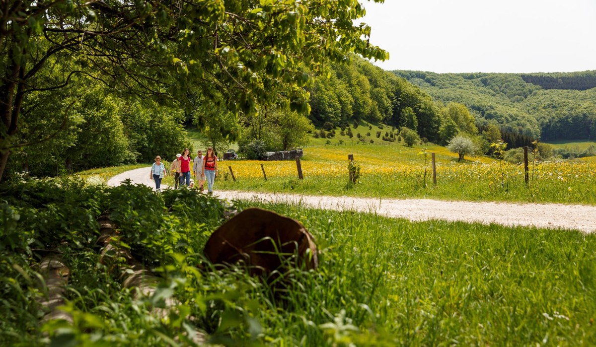 Eine Gruppe von Menschen wandert auf einem Weg durch eine grüne Landschaft mit blühenden Wiesen und Bäumen., © Landkreis Göppingen