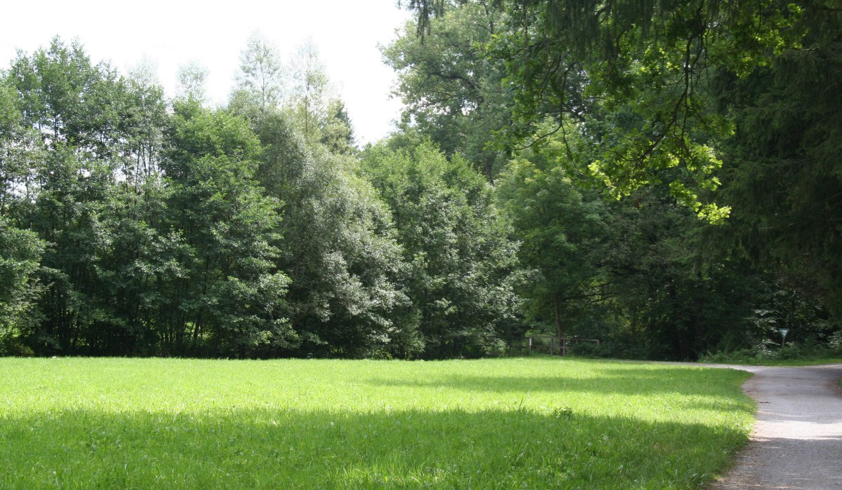 Grüne Wiese neben einem Wald mit dichtem Baumbestand. Ein schmaler Weg führt am Waldrand entlang., © Natur.Nah. Schönbuch & Heckengäu Grüne Wiese neben einem Wald mit dichtem Baumbestand. Ein schmaler Weg führt am Waldrand entlang., © Natur.Nah. Schönbuch & Heckengäu