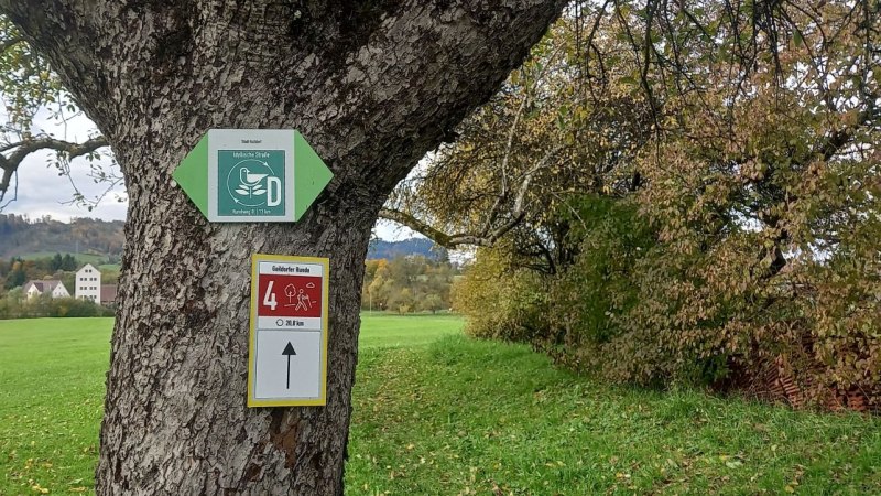 Wanderwegweiser an einem Baum, im Hintergrund grüne Hecken und Wiese, © Petra Natzkwoski Wanderwegweiser an einem Baum, im Hintergrund grüne Hecken und Wiese, © Petra Natzkwoski