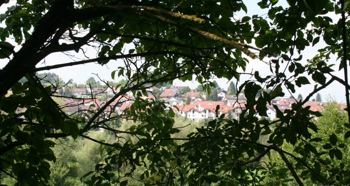 Blick durch dichte Baumzweige auf eine Stadt mit roten Dächern im Hintergrund., © Natur.Nah. Schönbuch & Heckengäu
