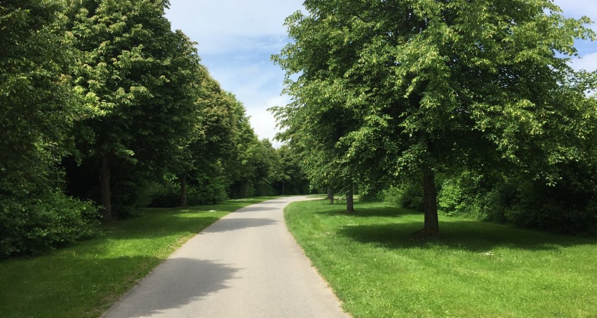 Ein asphaltierter Weg schl&auml;ngelt sich durch eine gr&uuml;ne Landschaft, ges&auml;umt von &uuml;ppigen B&auml;umen unter einem blauen Himmel., &copy; www.pro-cycl.de