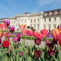 Barocke Kombiführung:, © Copyright: Tourismus & Events Ludwigsburg