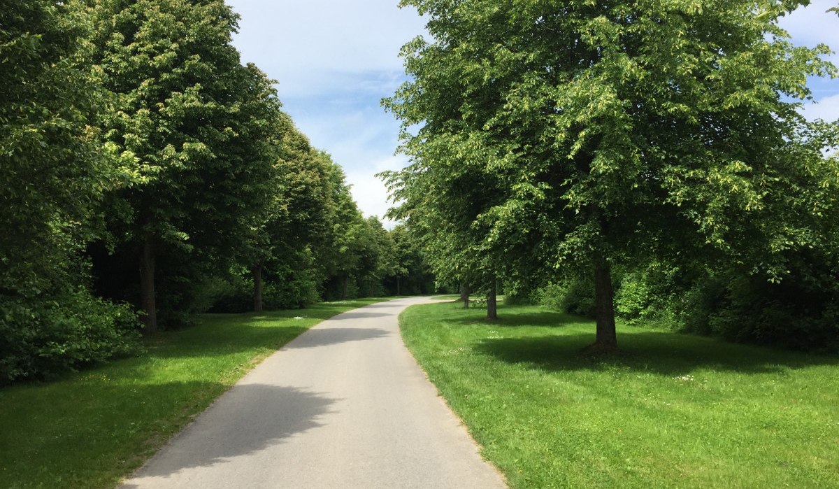Ein asphaltierter Weg schlängelt sich durch eine grüne Landschaft, gesäumt von üppigen Bäumen unter einem blauen Himmel., © www.pro-cycl.de