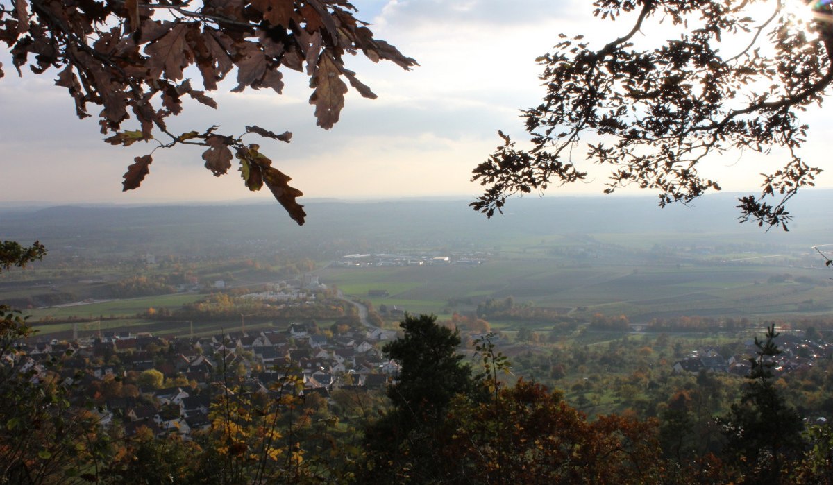 Aussicht vom Kaiserwirt's Bergle Herrenberg auf eine weite Landschaft mit Dörfern und Feldern, eingerahmt von herbstlichen Baumzweigen., © Natur.Nah. Schönbuch & Heckengäu Aussicht vom Kaiserwirt's Bergle Herrenberg auf eine weite Landschaft mit Dörfern und Feldern, eingerahmt von herbstlichen Baumzweigen., © Natur.Nah. Schönbuch & Heckengäu