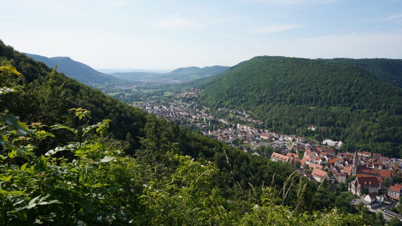 Aus Blick vom Vorderen Hanner Felsen auf das Ermstal, © Susanne Maier, blackdotswhitespots Aus Blick vom Vorderen Hanner Felsen auf das Ermstal, © Susanne Maier, blackdotswhitespots