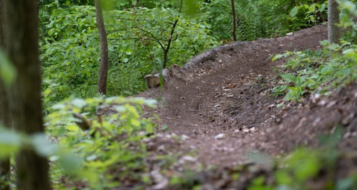 Trails of Hall_Einkornwald, © Hohenlohe + Schwäbisch Hall Tourismus e. V. Trails of Hall_Einkornwald, © Hohenlohe + Schwäbisch Hall Tourismus e. V.