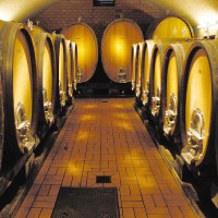 Ein Weinkeller mit gro&szlig;en Holzf&auml;ssern, die in zwei Reihen entlang eines gefliesten Gangs stehen. Die F&auml;sser sind beleuchtet und in einem Gew&ouml;lbe untergebracht., &copy; Herzog von W&uuml;rttemberg