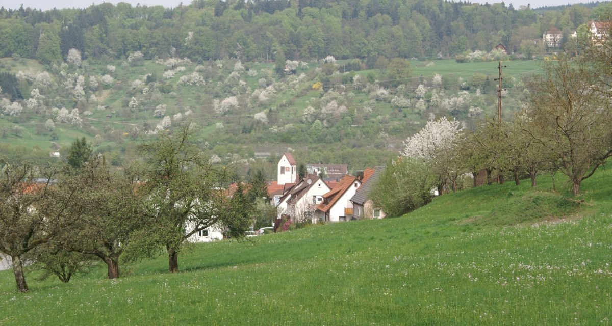 Grüne Wiesen mit blühenden Bäumen, ein Dorf mit roten Dächern und eine bewaldete Hügelkette im Hintergrund., © Stadt Lorch Grüne Wiesen mit blühenden Bäumen, ein Dorf mit roten Dächern und eine bewaldete Hügelkette im Hintergrund., © Stadt Lorch