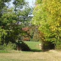 Ein schmaler Weg führt durch eine grüne Landschaft, gesäumt von Bäumen mit herbstlichem Laub., © Foto: Cornelia Steinbach