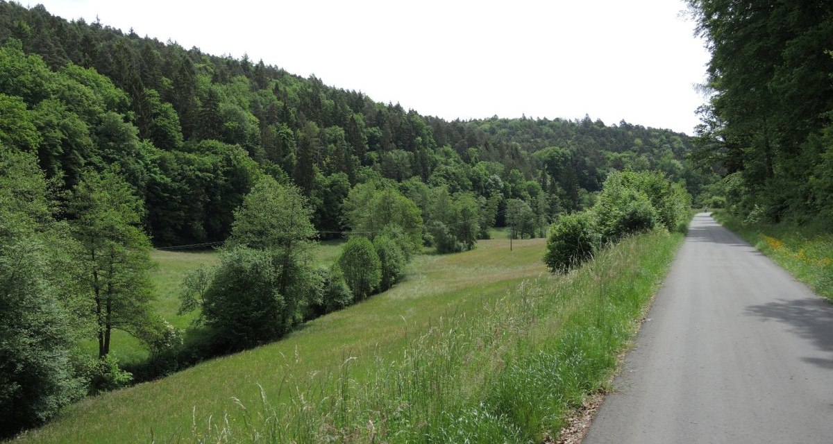 Asphaltierte Straße durch grüne Landschaft mit Wiesen und Wäldern. Der Himmel ist bewölkt, die Umgebung wirkt ruhig und idyllisch., © Natur.Nah. Schönbuch & Heckengäu Asphaltierte Straße durch grüne Landschaft mit Wiesen und Wäldern. Der Himmel ist bewölkt, die Umgebung wirkt ruhig und idyllisch., © Natur.Nah. Schönbuch & Heckengäu