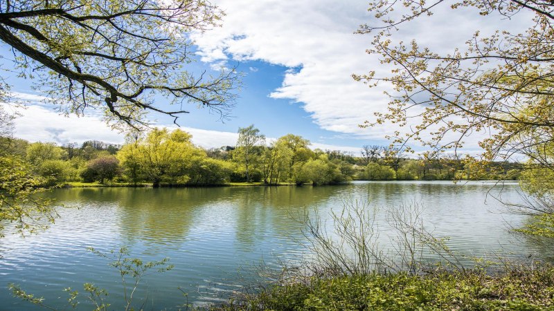Weitwinkelaufnahme des Beutwangsees in N&uuml;rtingen. Der See ist von gr&uuml;nen B&auml;umen umgeben, der Himmel ist blau mit einigen Wolken., &copy; SMG, Sarah Schmid