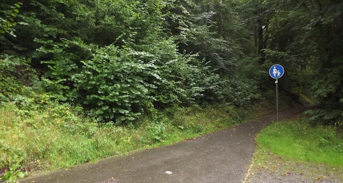 Ein schmaler, asphaltierter Weg schlängelt sich durch einen grünen Wald. Ein Fußgängerweg-Schild ist am rechten Rand zu sehen., © Natur.Nah. Schönbuch & Heckengäu Ein schmaler, asphaltierter Weg schlängelt sich durch einen grünen Wald. Ein Fußgängerweg-Schild ist am rechten Rand zu sehen., © Natur.Nah. Schönbuch & Heckengäu