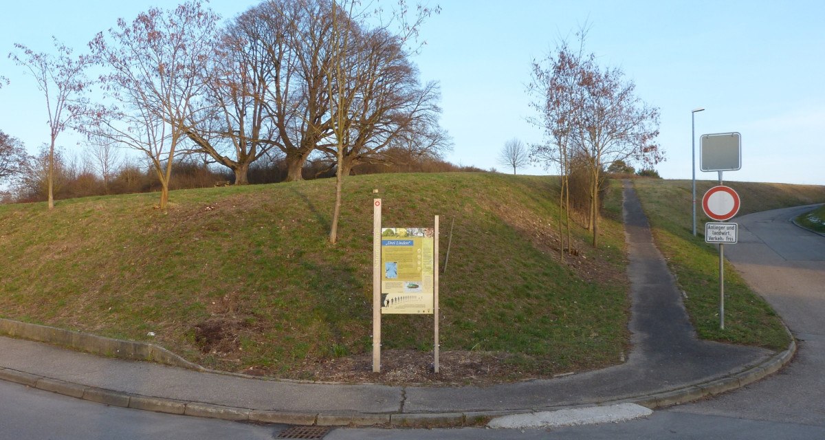 Ein Weg f&uuml;hrt zu einem H&uuml;gel mit B&auml;umen und einem Informationsschild am Naturdenkmal 'Drei Linden' in Schafhausen., &copy; Natur.Nah. Sch&ouml;nbuch & Heckeng&auml;u