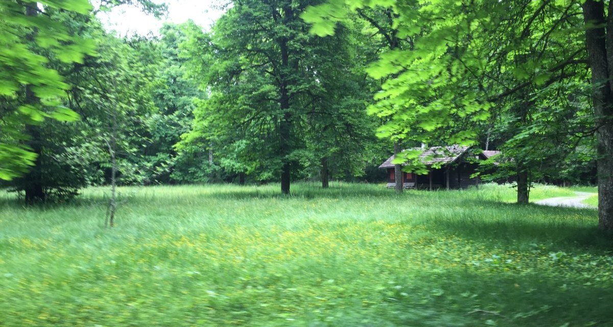 Eine Holzh&uuml;tte steht in einer gr&uuml;nen Waldlichtung, umgeben von B&auml;umen und Gras. Die Szene wirkt ruhig und idyllisch., &copy; www.pro-cycl.de