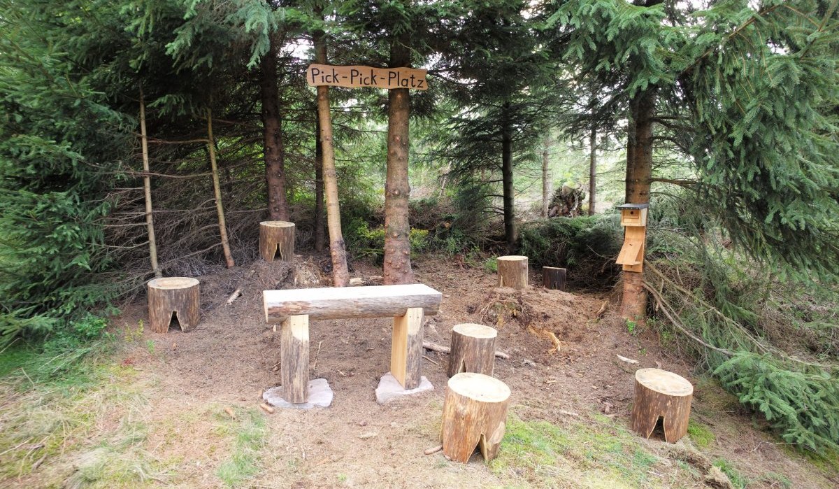 Der Pick-Pick-Platz l&auml;dt zu einer Pause ein, &copy; N&ouml;rdlicher Schwarzwald
