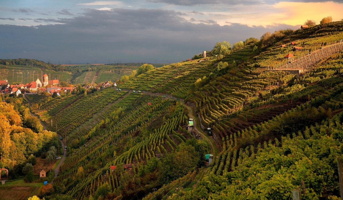 Weinberge in Besigheim bei Sonnenuntergang, mit terrassierten Reben und einem Dorf im Hintergrund. Dramatischer Himmel und herbstliche Farben., © Felsengartenkellerei Besigheim eG Weinberge in Besigheim bei Sonnenuntergang, mit terrassierten Reben und einem Dorf im Hintergrund. Dramatischer Himmel und herbstliche Farben., © Felsengartenkellerei Besigheim eG