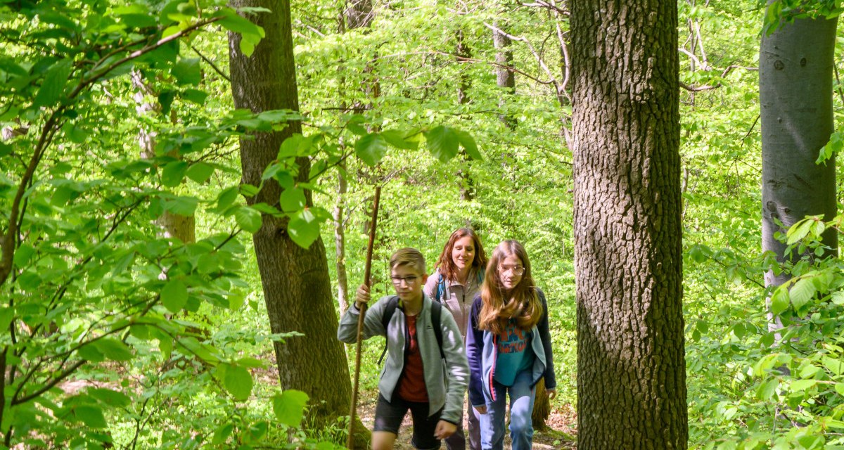 Drei Personen wandern auf einem schmalen Waldweg, umgeben von dichtem, grünem Laub. Die Sonne scheint durch die Bäume., © Stadtverwaltung Winnenden Drei Personen wandern auf einem schmalen Waldweg, umgeben von dichtem, grünem Laub. Die Sonne scheint durch die Bäume., © Stadtverwaltung Winnenden