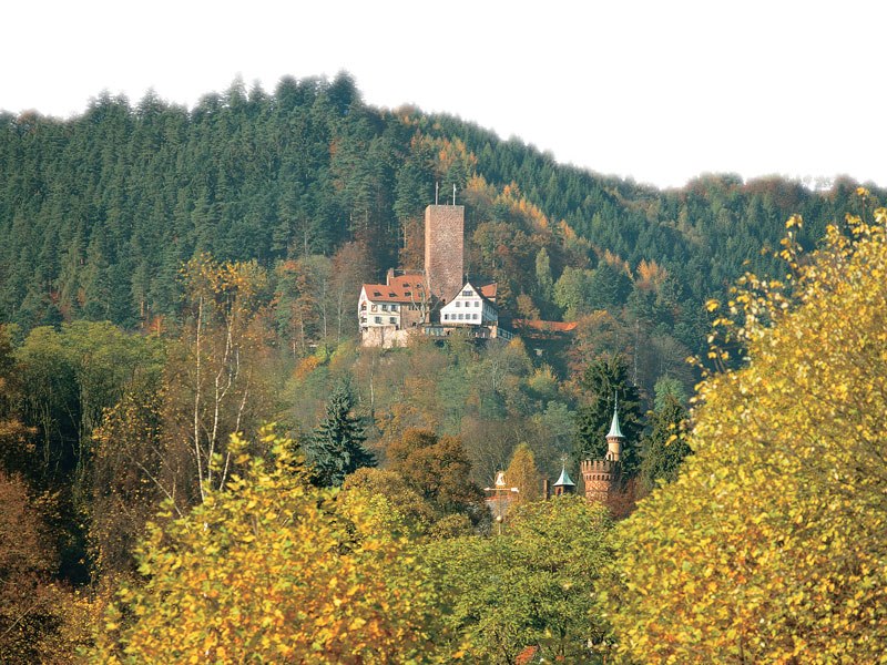 Burg Liebenzell thront auf einem bewaldeten Hügel, umgeben von herbstlich gefärbten Bäumen. Der Turm und die Gebäude sind gut sichtbar., © n/a