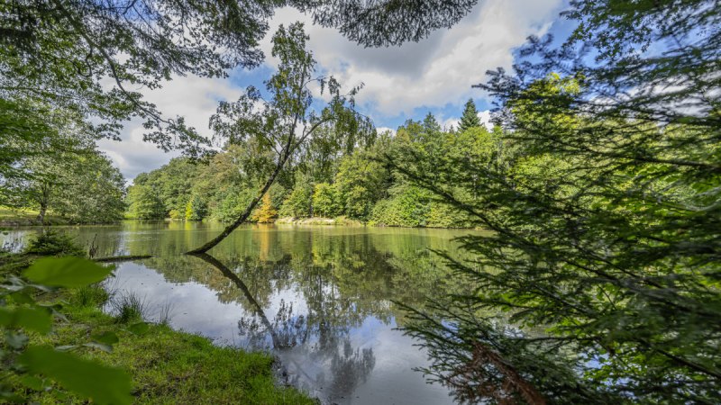 FeenSpuren | Römerwald Premiumspazierwanderweg - Premiumwanderweg mit Start in Welzheim, © SWT