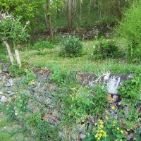 © Natur.Nah. Schönbuch & Heckengäu © Natur.Nah. Schönbuch & Heckengäu