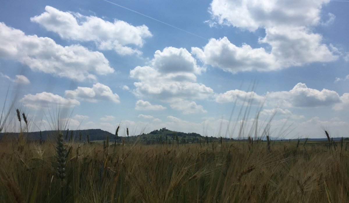 Weizenfeld im Vordergrund, dahinter die Wurmlinger Kapelle auf einem Hügel unter blauem Himmel mit weißen Wolken., © www.pro-cycl.de Weizenfeld im Vordergrund, dahinter die Wurmlinger Kapelle auf einem Hügel unter blauem Himmel mit weißen Wolken., © www.pro-cycl.de