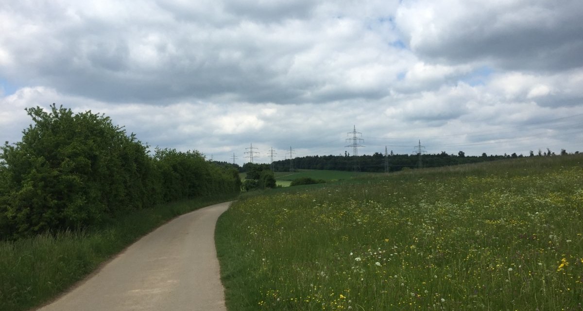 Ein asphaltierter Radweg schlängelt sich durch eine grüne Wiese, flankiert von Büschen und Strommasten, unter einem bewölkten Himmel., © Natur.Nah. Schönbuch & Heckengäu Ein asphaltierter Radweg schlängelt sich durch eine grüne Wiese, flankiert von Büschen und Strommasten, unter einem bewölkten Himmel., © Natur.Nah. Schönbuch & Heckengäu