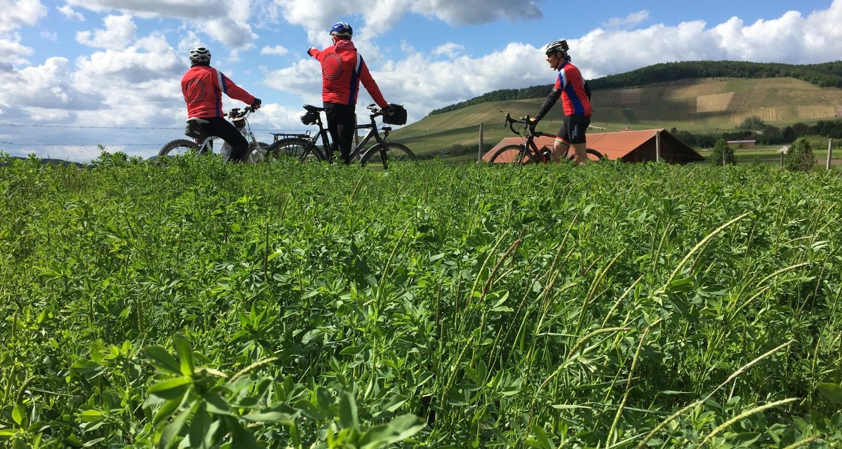 Drei Radfahrer in roten Jacken stehen auf einem Feldweg. Im Vordergrund ist eine grüne Wiese, im Hintergrund Hügel und ein blauer Himmel mit Wolken., © Land der 1000 Hügel - Kraichgau-Stromberg Drei Radfahrer in roten Jacken stehen auf einem Feldweg. Im Vordergrund ist eine grüne Wiese, im Hintergrund Hügel und ein blauer Himmel mit Wolken., © Land der 1000 Hügel - Kraichgau-Stromberg