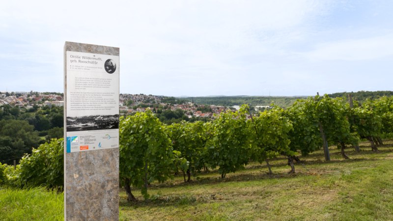 Weinberg mit Infotafel über Ottilie Wildermuth. Im Hintergrund ist eine Stadtlandschaft zu sehen. Der Himmel ist leicht bewölkt., © Marbach - Stuttgart-Marketing GmbH Weinberg mit Infotafel über Ottilie Wildermuth. Im Hintergrund ist eine Stadtlandschaft zu sehen. Der Himmel ist leicht bewölkt., © Marbach - Stuttgart-Marketing GmbH