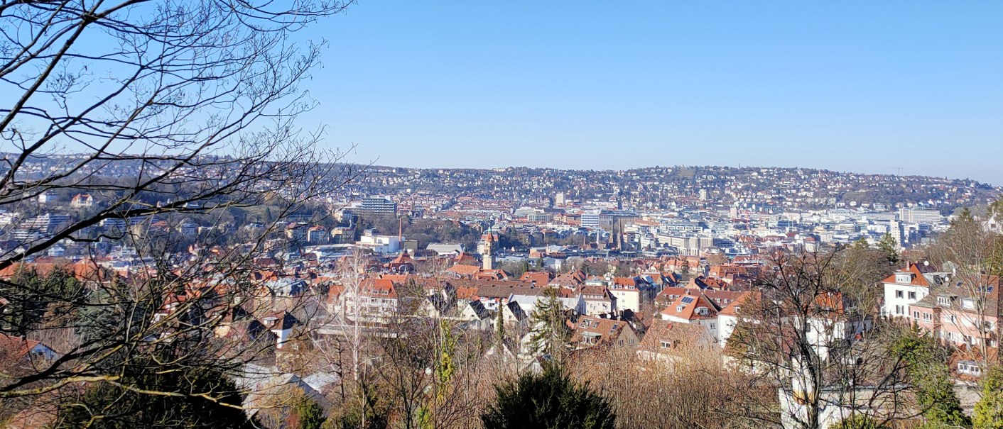 Stadtansicht mit roten Dächern unter klarem, blauem Himmel. Im Vordergrund Bäume und ein Holzzaun., © SMG