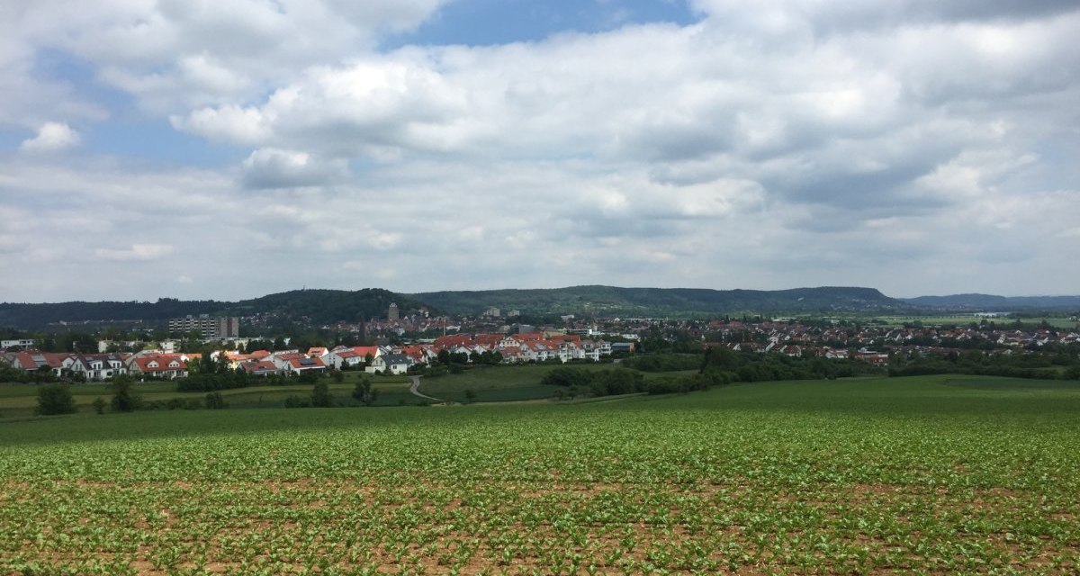 Panoramablick auf Herrenberg mit roten Dächern, umgeben von grünen Feldern und Hügeln unter einem bewölkten Himmel., © Natur.Nah. Schönbuch & Heckengäu Panoramablick auf Herrenberg mit roten Dächern, umgeben von grünen Feldern und Hügeln unter einem bewölkten Himmel., © Natur.Nah. Schönbuch & Heckengäu