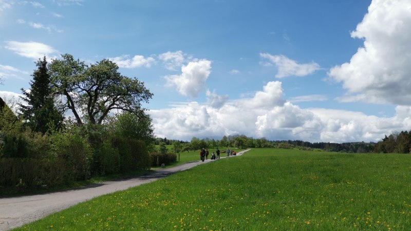 Inklusive Wanderbotschafter:innen - Morbachrundweg - Barrierefreie Wanderung mit Start in Großerlach